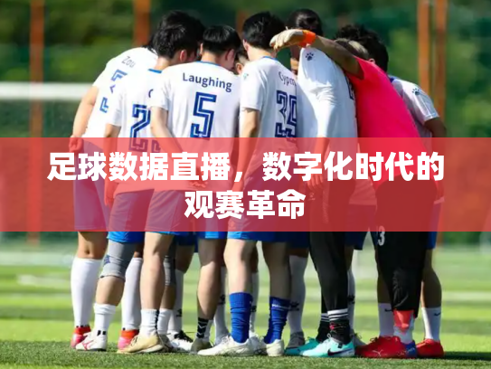 足球数据直播，数字化时代的观赛革命