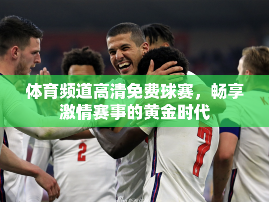 体育频道高清免费球赛，畅享激情赛事的黄金时代