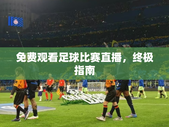 免费观看足球比赛直播，终极指南