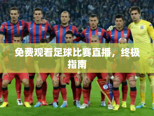 免费观看足球比赛直播，终极指南