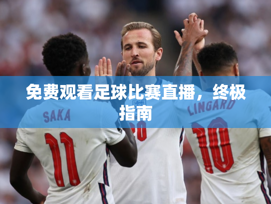 免费观看足球比赛直播，终极指南