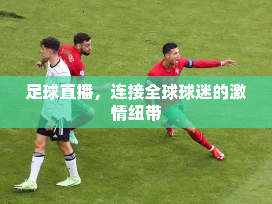 足球直播，连接全球球迷的激情纽带