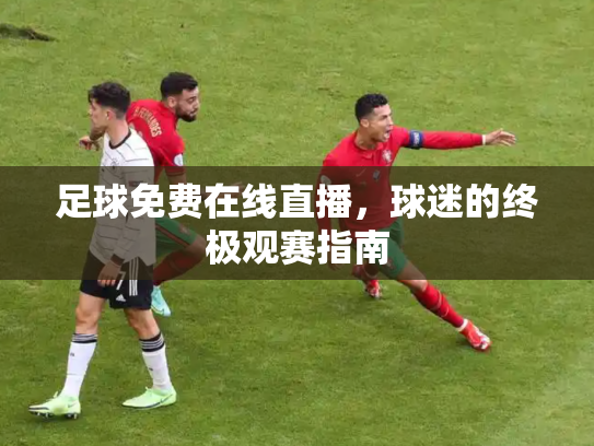 足球免费在线直播，球迷的终极观赛指南