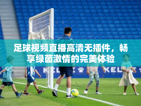足球视频直播高清无插件，畅享绿茵激情的完美体验