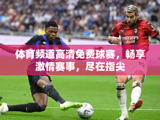 体育频道高清免费球赛，畅享激情赛事，尽在指尖