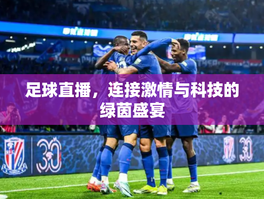 足球直播，连接激情与科技的绿茵盛宴