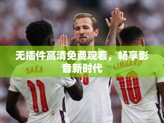 无插件高清免费观看，畅享影音新时代