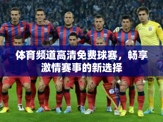 体育频道高清免费球赛，畅享激情赛事的新选择