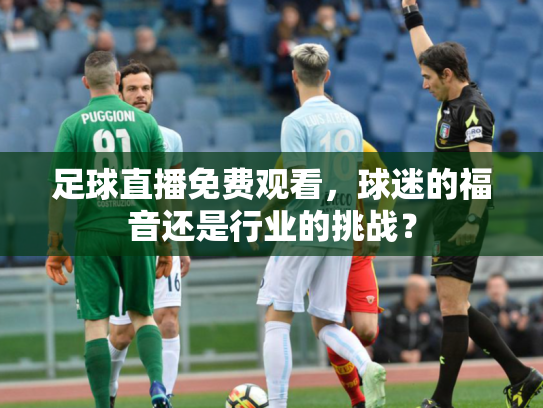 足球直播免费观看，球迷的福音还是行业的挑战？
