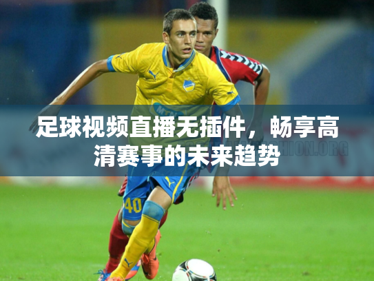 足球视频直播无插件，畅享高清赛事的未来趋势