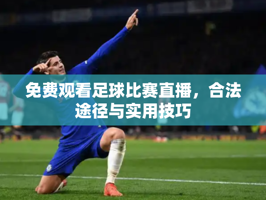 免费观看足球比赛直播，合法途径与实用技巧