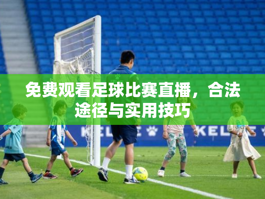 免费观看足球比赛直播，合法途径与实用技巧