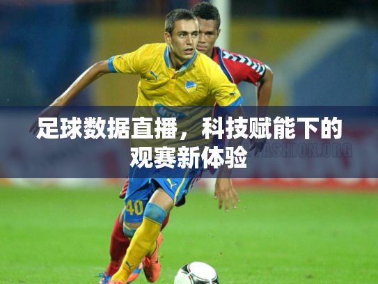 足球数据直播，科技赋能下的观赛新体验