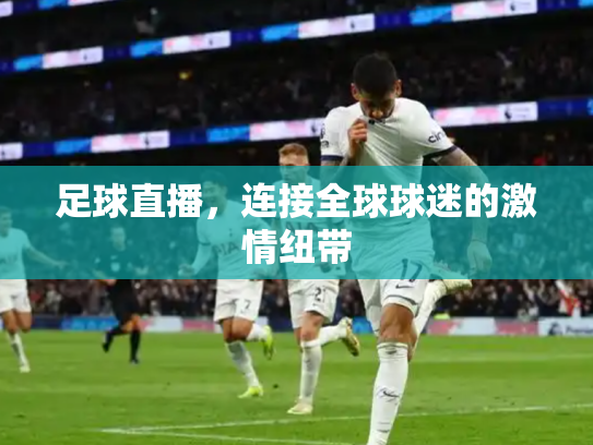 足球直播，连接全球球迷的激情纽带