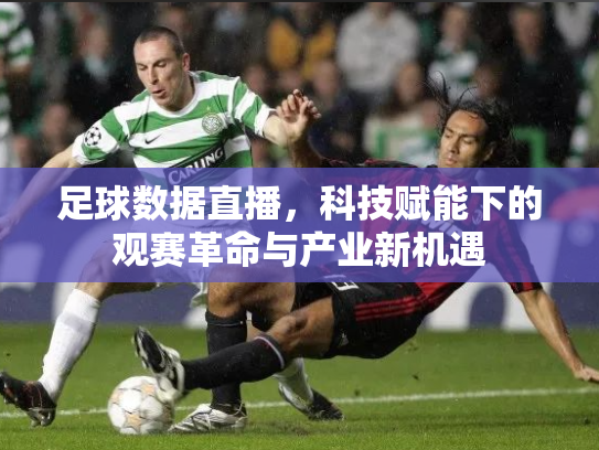 足球数据直播，科技赋能下的观赛革命与产业新机遇