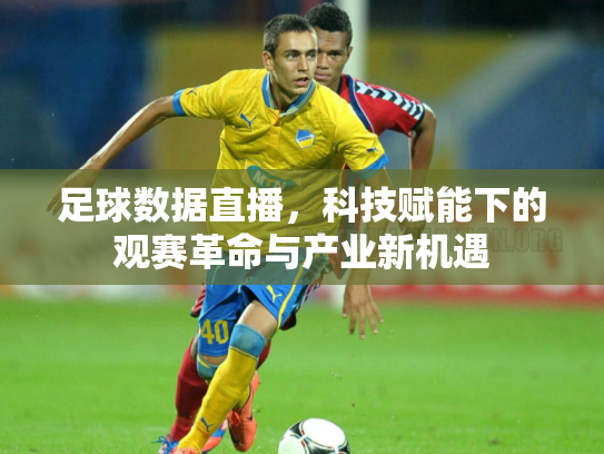 足球数据直播，科技赋能下的观赛革命与产业新机遇