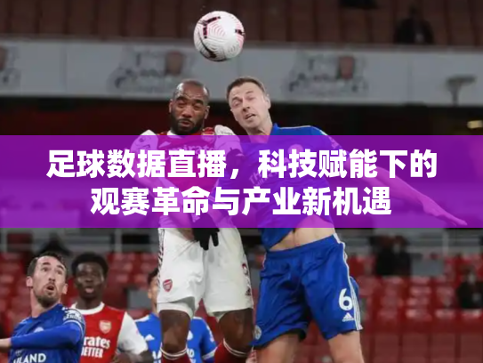 足球数据直播，科技赋能下的观赛革命与产业新机遇