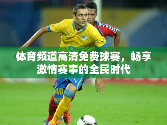 体育频道高清免费球赛，畅享激情赛事的全民时代
