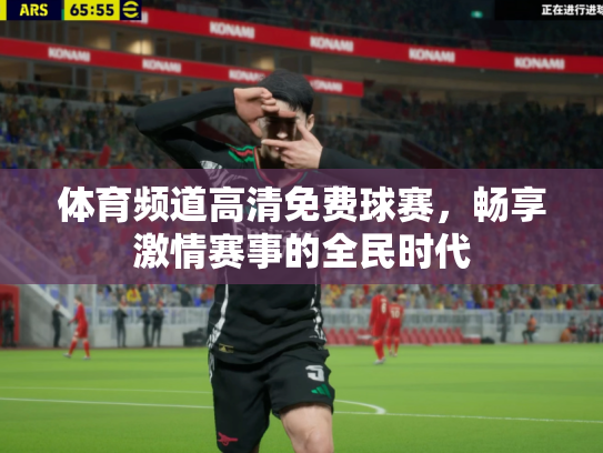 体育频道高清免费球赛，畅享激情赛事的全民时代
