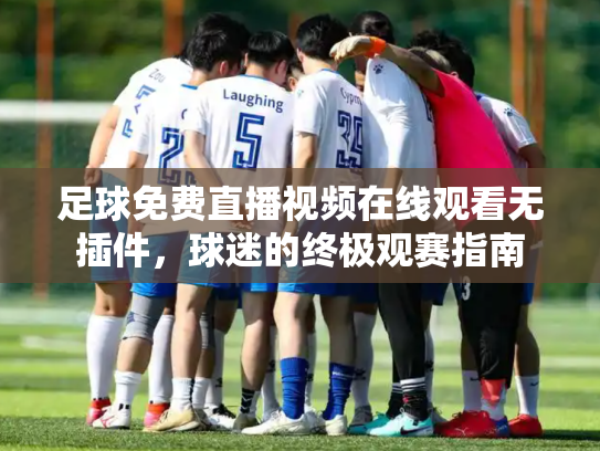 足球免费直播视频在线观看无插件，球迷的终极观赛指南