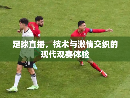 足球直播，技术与激情交织的现代观赛体验