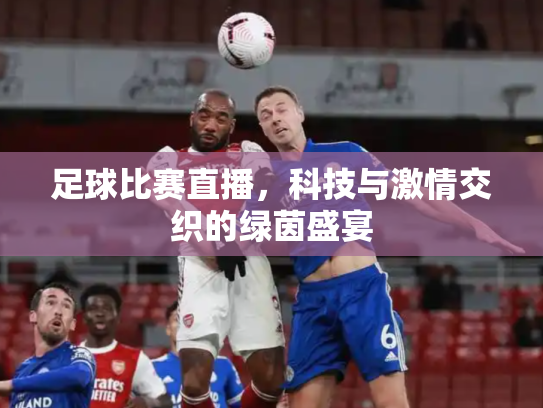 足球比赛直播，科技与激情交织的绿茵盛宴