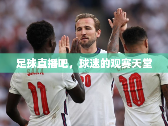 足球直播吧，球迷的观赛天堂
