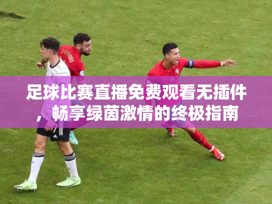 足球比赛直播免费观看无插件，畅享绿茵激情的终极指南
