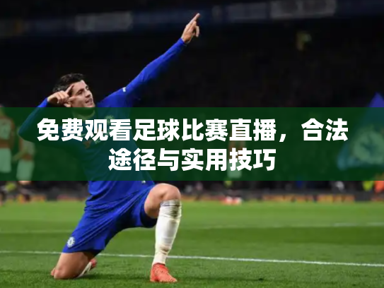 免费观看足球比赛直播，合法途径与实用技巧