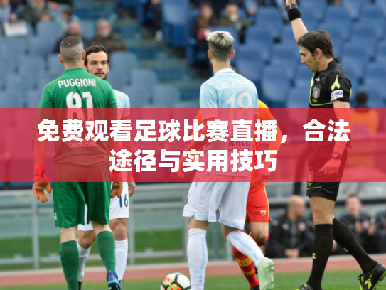 免费观看足球比赛直播，合法途径与实用技巧
