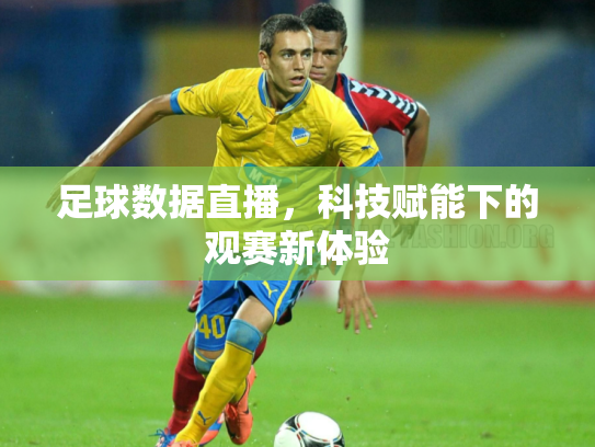 足球数据直播，科技赋能下的观赛新体验