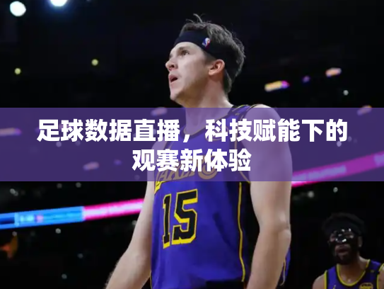 足球数据直播，科技赋能下的观赛新体验