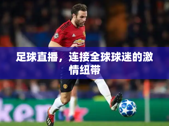 足球直播，连接全球球迷的激情纽带