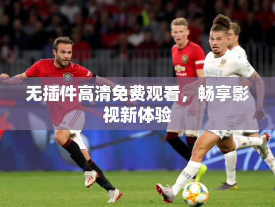 无插件高清免费观看，畅享影视新体验