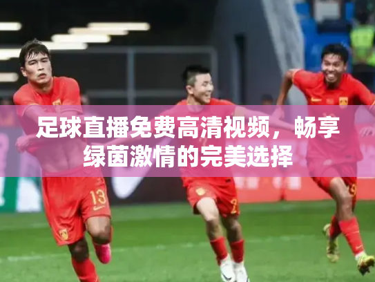 足球直播免费高清视频，畅享绿茵激情的完美选择