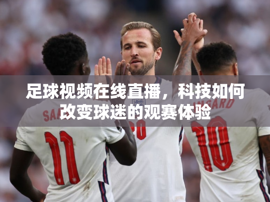 足球视频在线直播，科技如何改变球迷的观赛体验