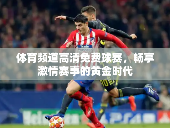 体育频道高清免费球赛，畅享激情赛事的黄金时代