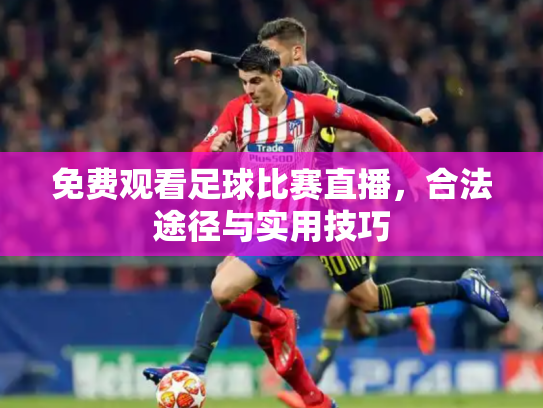 免费观看足球比赛直播，合法途径与实用技巧