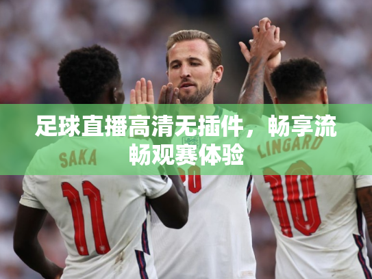 足球直播高清无插件，畅享流畅观赛体验