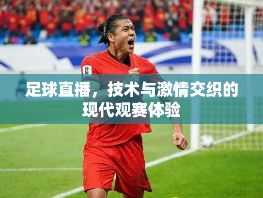 足球直播，技术与激情交织的现代观赛体验