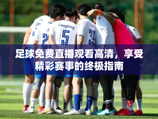 足球免费直播观看高清，享受精彩赛事的终极指南