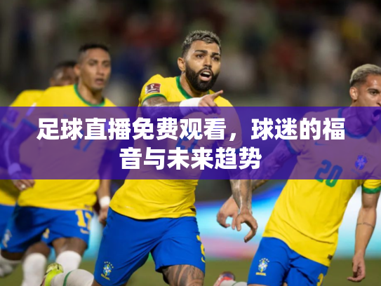 足球直播免费观看，球迷的福音与未来趋势