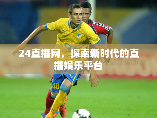 24直播网，探索新时代的直播娱乐平台