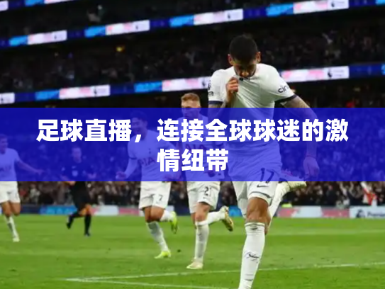 足球直播，连接全球球迷的激情纽带