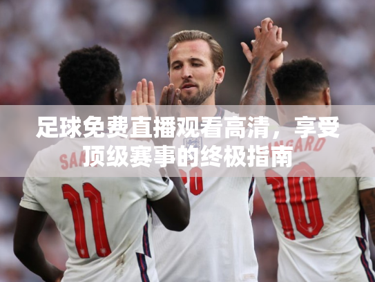 足球免费直播观看高清，享受顶级赛事的终极指南