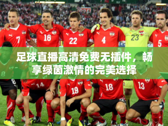 足球直播高清免费无插件，畅享绿茵激情的完美选择