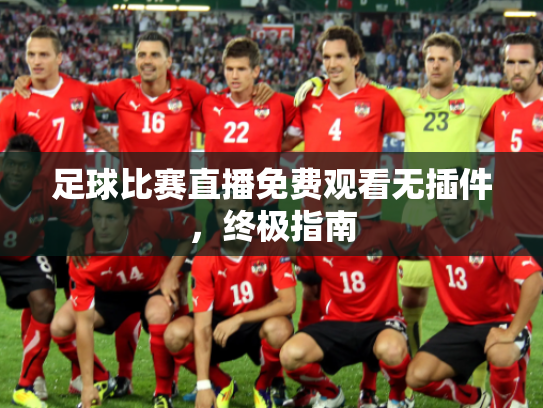 足球比赛直播免费观看无插件，终极指南