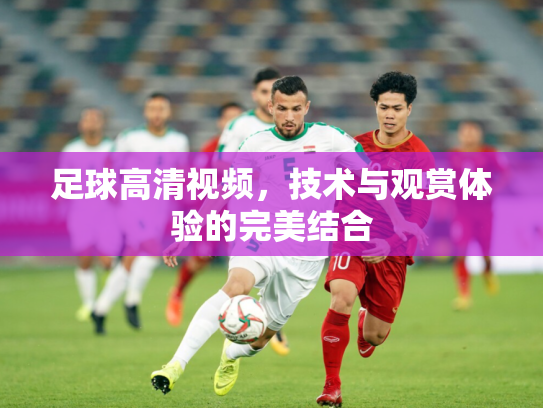 足球高清视频，技术与观赏体验的完美结合