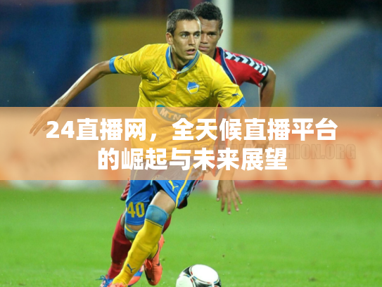 24直播网，全天候直播平台的崛起与未来展望