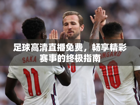 足球高清直播免费，畅享精彩赛事的终极指南